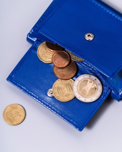 Mały, skórzany portfel damski z systemem RFID Protect - Peterson